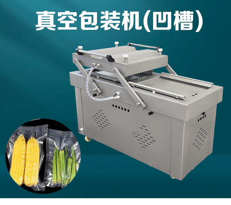 雙室真空（kōng）包裝機600型